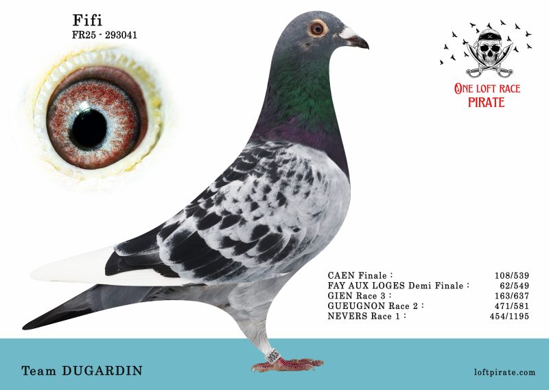 N° 42 : FR-2025-293041 F – Team DUGARDIN