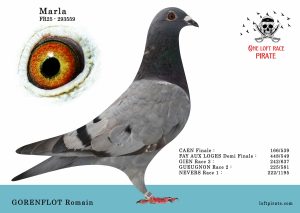 N° 33 : FR-2025-293559 F – GORENFLOT Romain