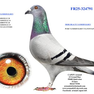 Fr25 324791