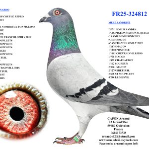 Fr25 324812
