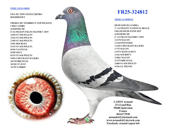 Fr25 324812