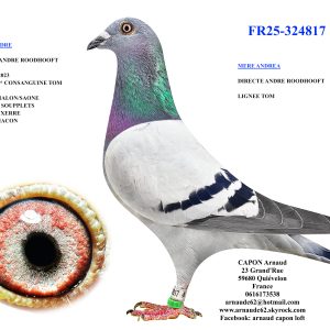 Fr25 324817