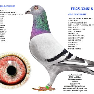 Fr25 324818