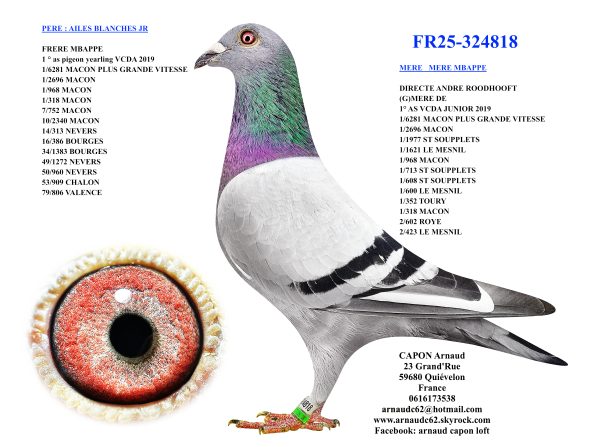 Fr25 324818