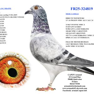 Fr25 324819