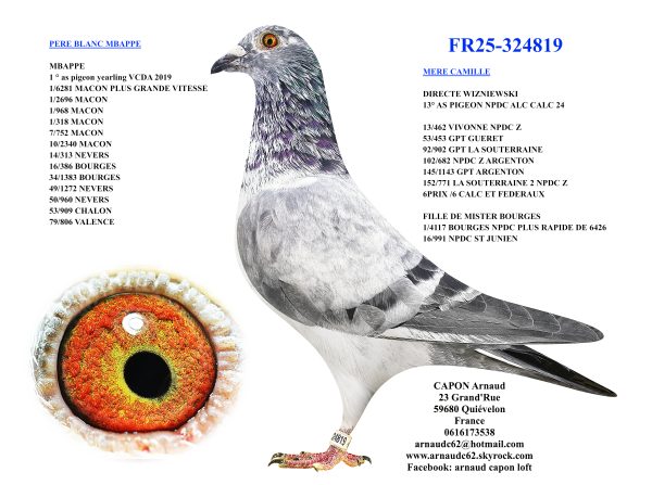 Fr25 324819