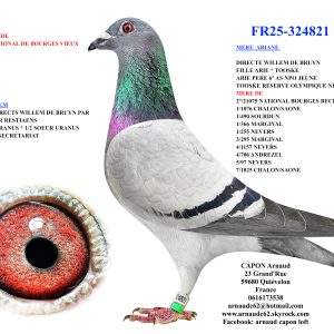 Fr25 324821