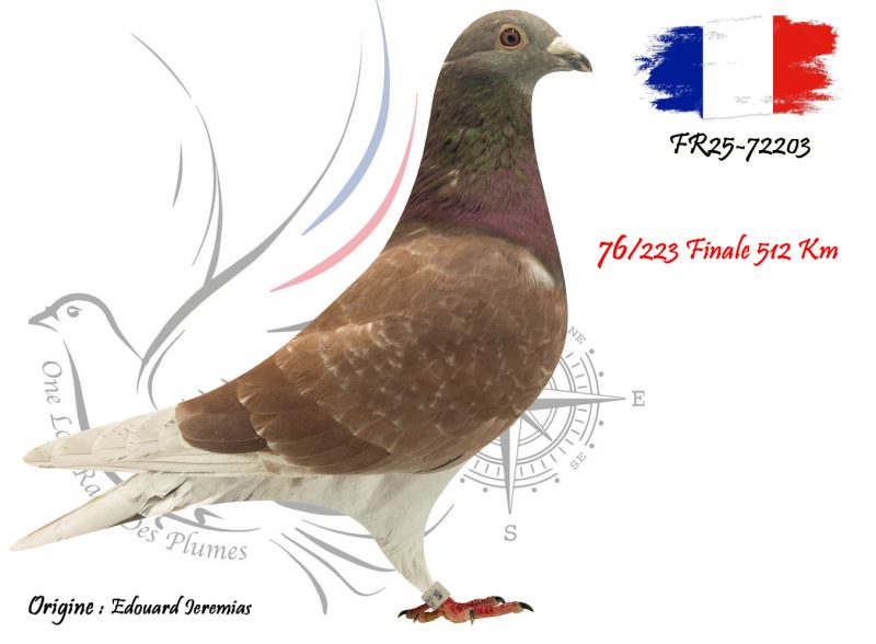 N° 76 : FR25-72203