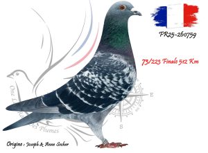 N° 73 : FR25-260759