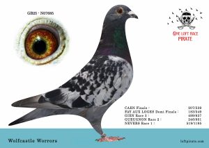 N° 60 : GB-25-N07685 M – Wolfcastle Worrors