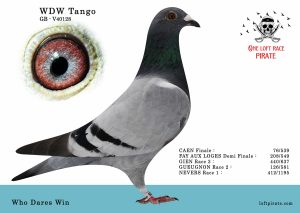 N° 61 : GB-25-V40128 M – Who Dares Win