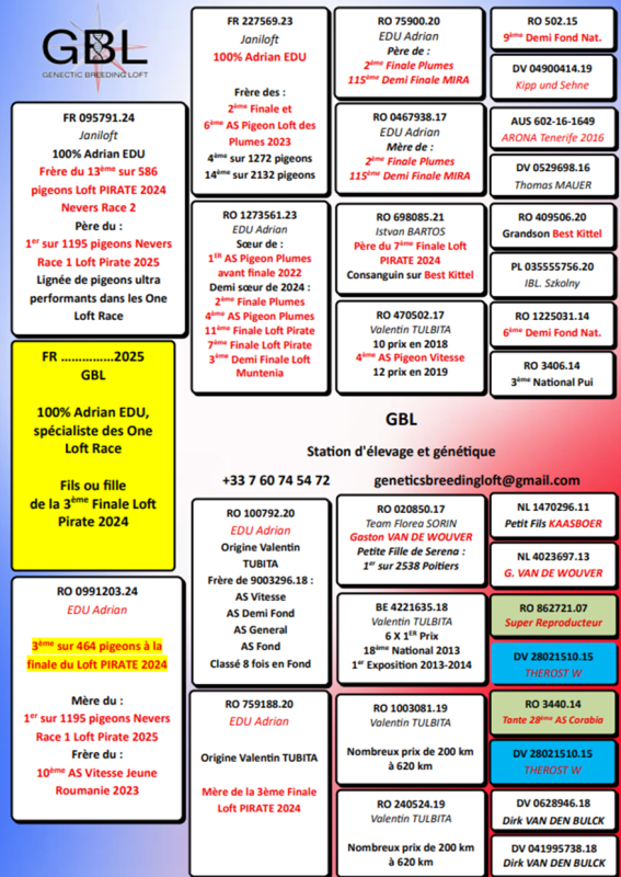 Gbl