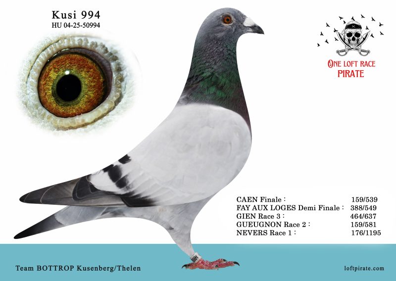 N° 60 : DV-04-25-50994 M – Team BOTTROP Kusenberg/Thelen