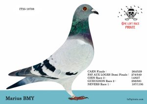 N° 03 : IT-2025-18708 F – Marius BMY