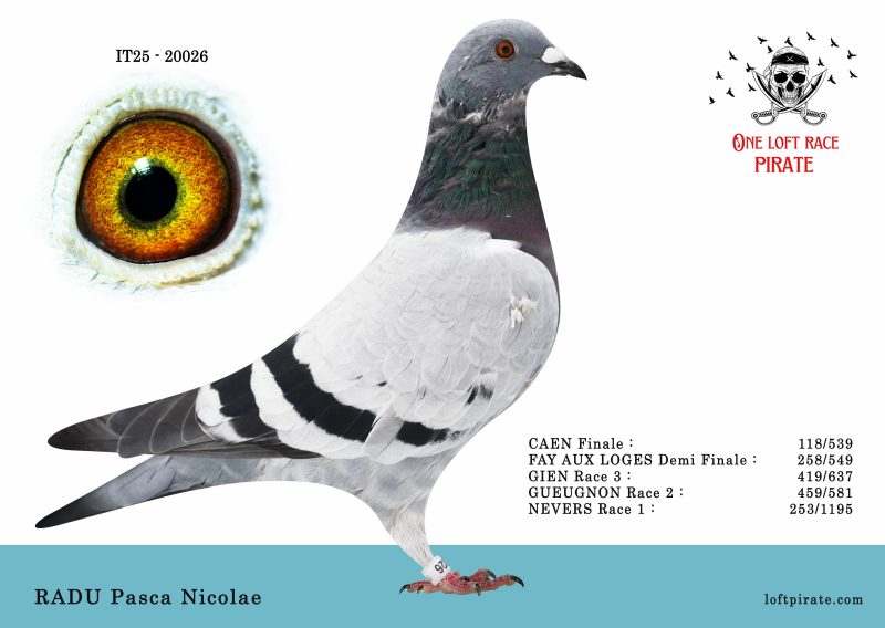 N° 03 : IT-2025-20026 F – RADU Pasca Nicolae