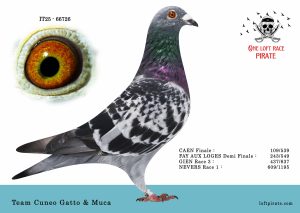 N° 08 : IT-2025-66726 M – Team Cueno Gatto & Muca