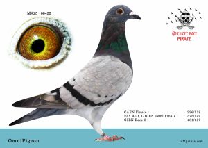 N° 01 : MA-2025-00455  F – Omnipigeon
