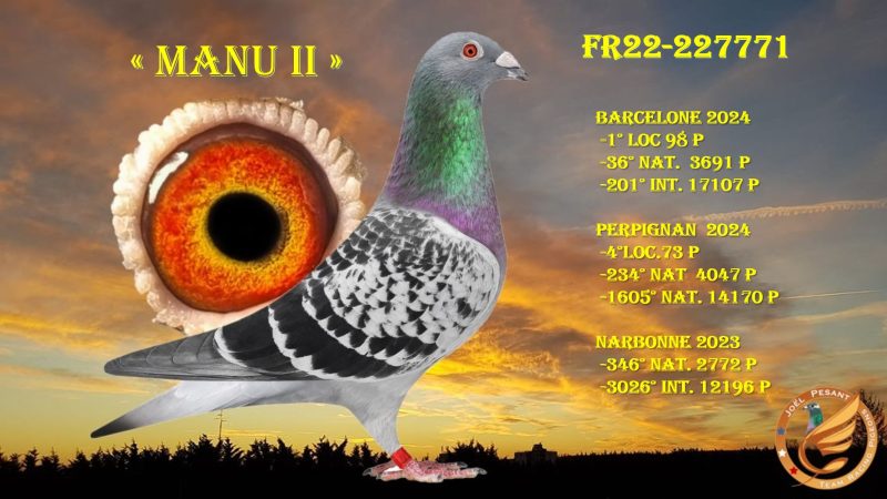 Manu 2