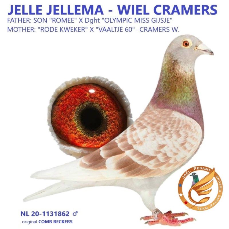 Nl 20 1131862 cramers