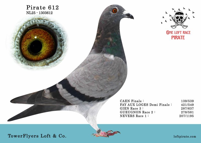 N° 51 : NL-2025-1303612 F – TowerFlyers Loft & Co.