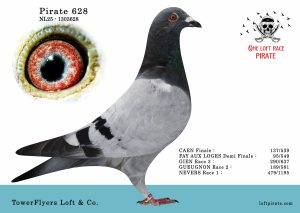 N° 39 : NL-2025-1303628 M – TowerFlyers Loft & Co.