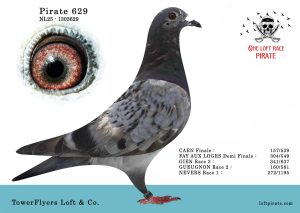 N° 40 : NL-2025-1303629 F – TowerFlyers Loft & Co.