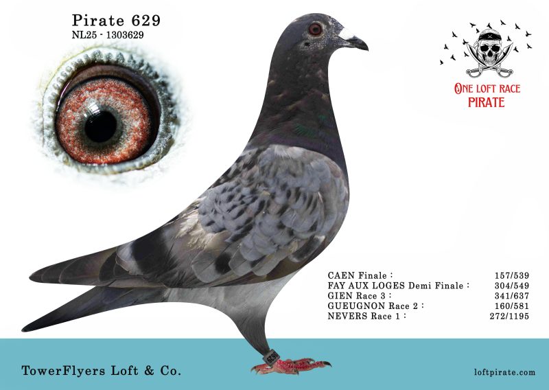 N° 40 : NL-2025-1303629 F – TowerFlyers Loft & Co.