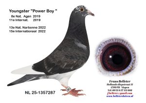 N° 22 : 1357287/2025 : MALE ECAILLE FONCE PLUME BLANCHE (FRERE DU LOT 10)