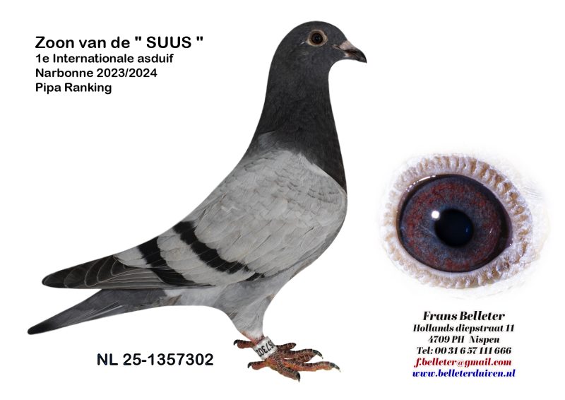 N° 5 : 1357302/2025 : MALE BLEU (FRERE DU LOT 19)