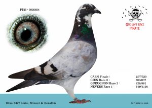 N° 43 : PT-2025-5095854 F – Blue SKY Luis , Miguel & Serafim