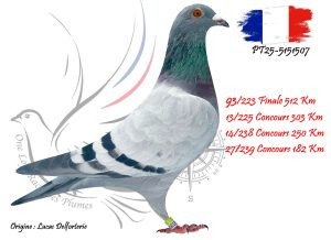 N° 93 : PT25-5151507