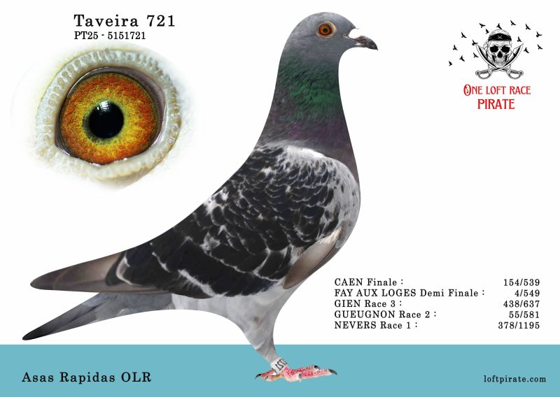 N° 54 : PT-2025-5151721 F – Asas Rapidas ORL