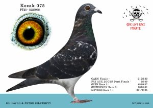 N° 44 : PT-2025-5225068 M – SG.Paulo SILERSKYY Petro