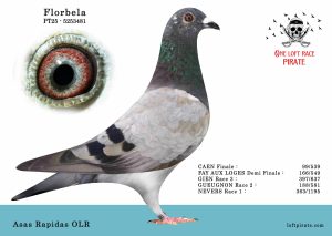 N° 57 : PT-2025-5253481 F – Asas Rapidas ORL