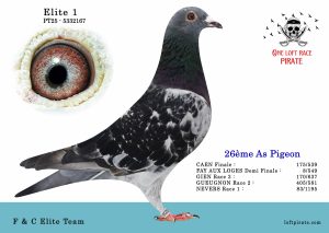 N° 57 : PT-2025-5332167 F – F & C Elite Team