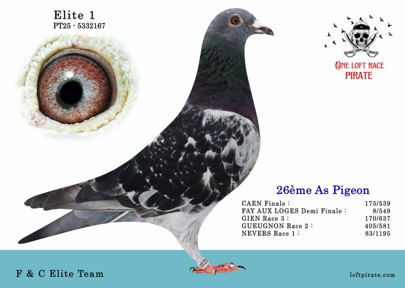 N° 57 : PT-2025-5332167 F – F & C Elite Team