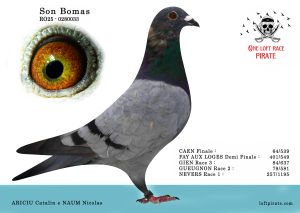 N° 38 : RO-2025-0280033 M – NAUM Nicolas