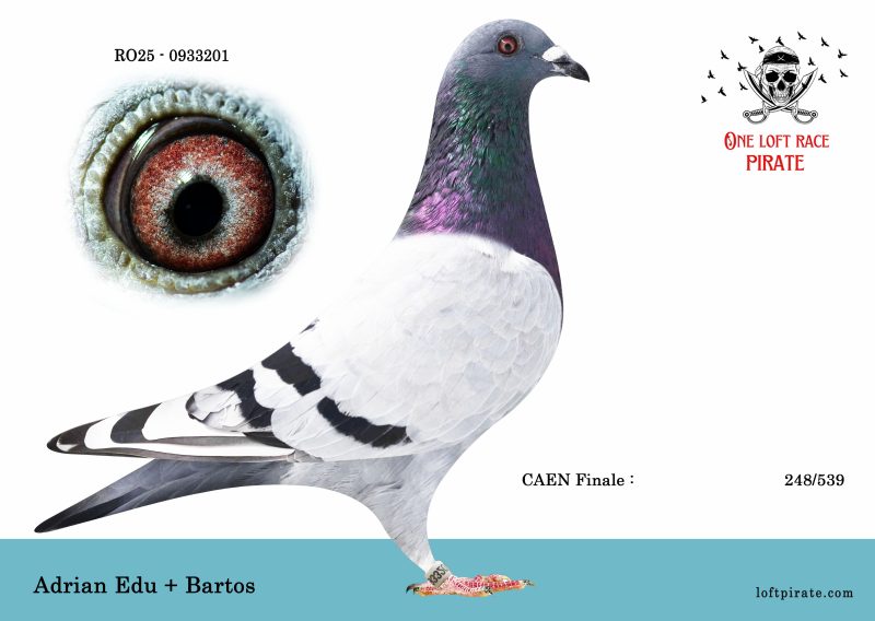 N° 44 : RO-2025-933201 F – Adrian EDU + BARTOS