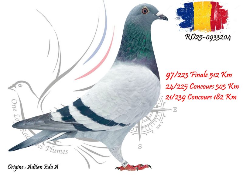 N° 97 : RO25-933204