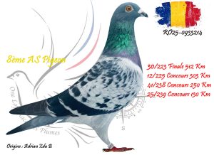 N° 30 : RO25-933214