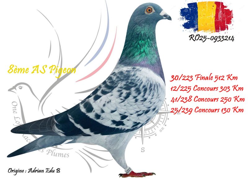 N° 30 : RO25-933214