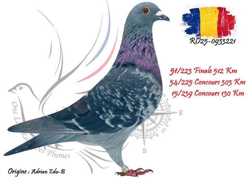 N° 51 : RO25-933221