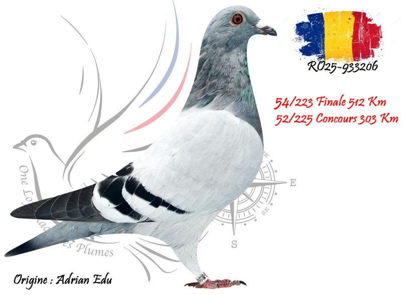 N° 54 : RO25-933206
