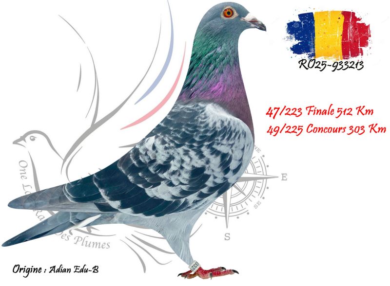 N° 47 : RO25-933213