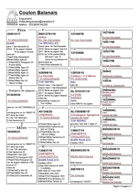 Thibaut enguerand page 0001
