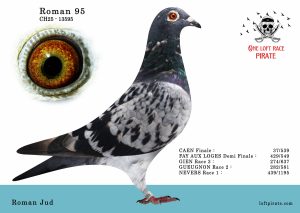 N° 06 : CH-2025-13595  F – Roman Jud