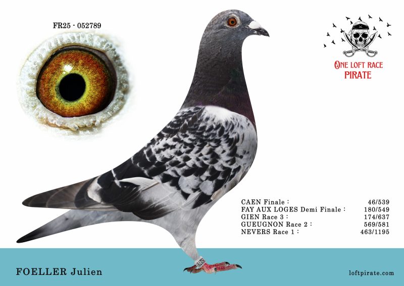 N° 08 : FR-2025-052789  F – FOELLER Julien