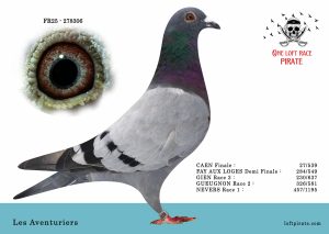 N° 26 : FR-2025-278306 M – Les Aventuriers