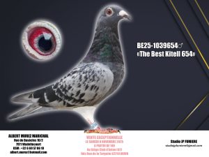 12. BE-1039654-2025 _ Albert Murez