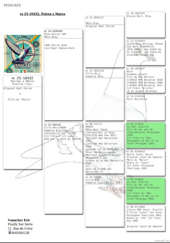 Pigeonn14 pedigree